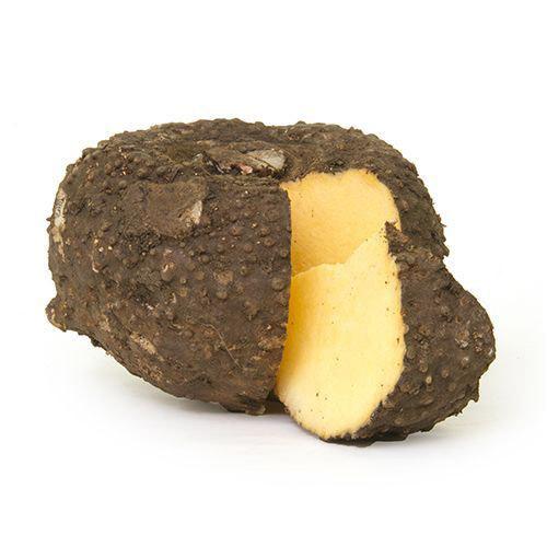 ELEPHANT YAM (KARUNAI KILANGU - SURAN)
