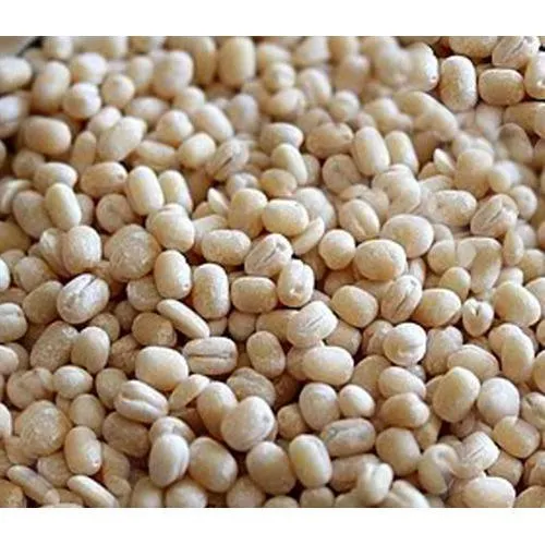 NATURES URID DAL WHOLE (WITHOUT SKIN) 500G