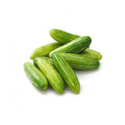 IVY GOURD (KOVAKKAI-TINDORA)